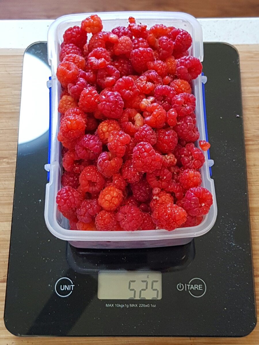 Another +½kg of homegrown raspberries