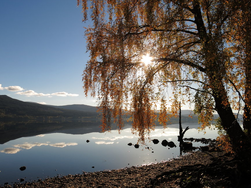 April 2017 - Autumnal Light, Loch Rannoch