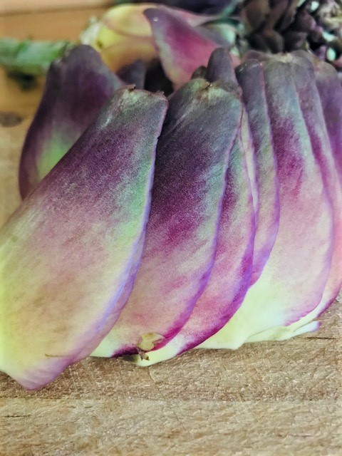 Artichoke Outer Leaves.jpg