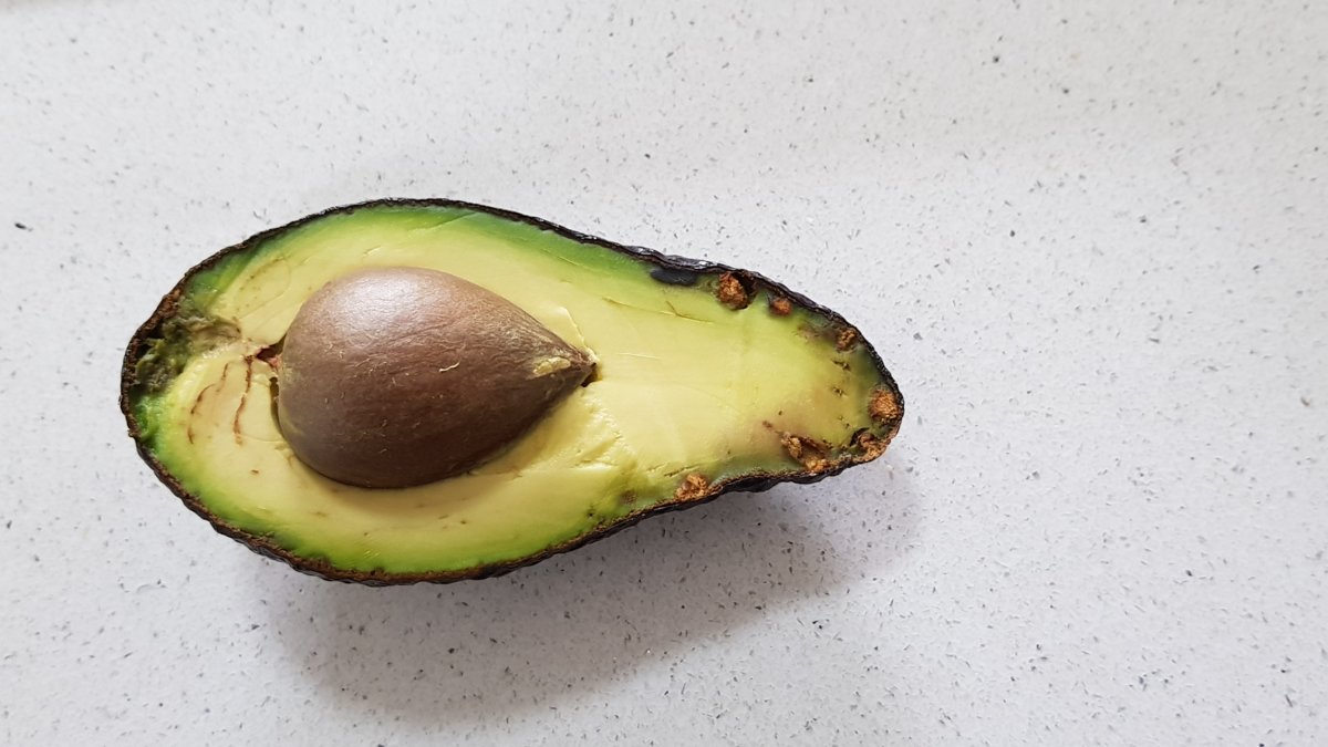 Avocado Problems