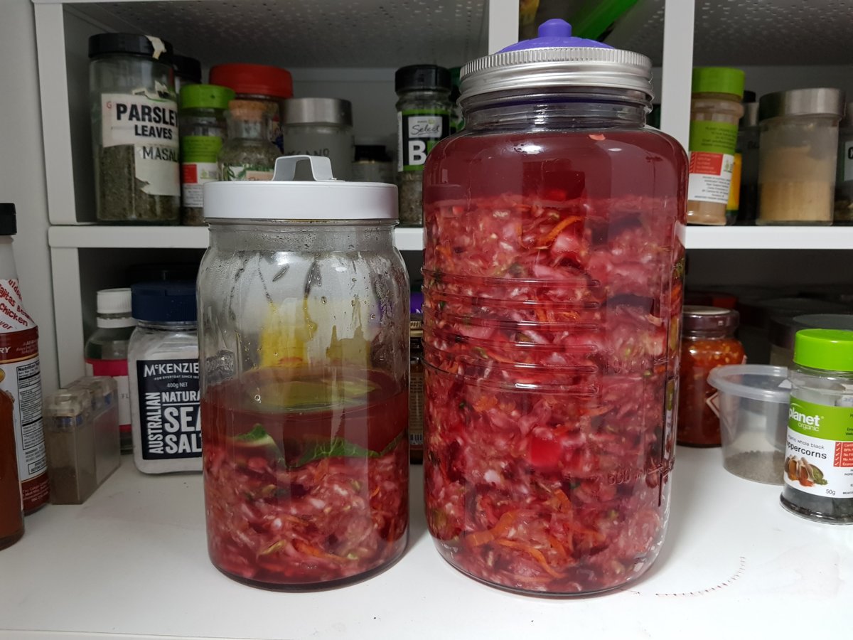 Beetroot Sauerkraut (no. 4) Day 00