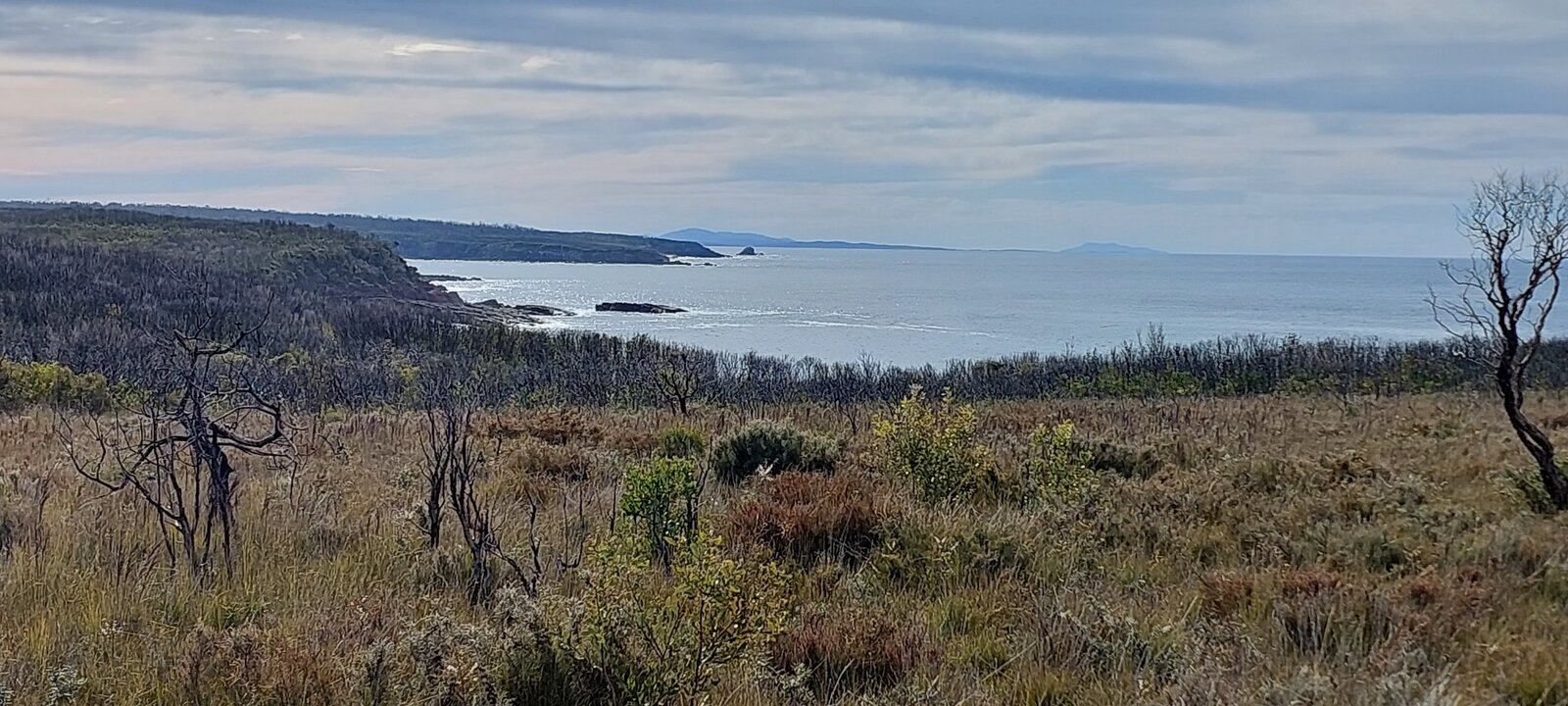 Beowa National Park