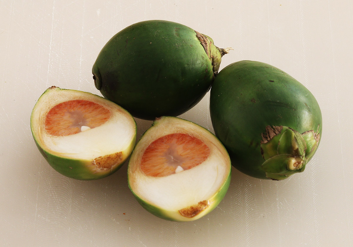 betel nut s.jpg