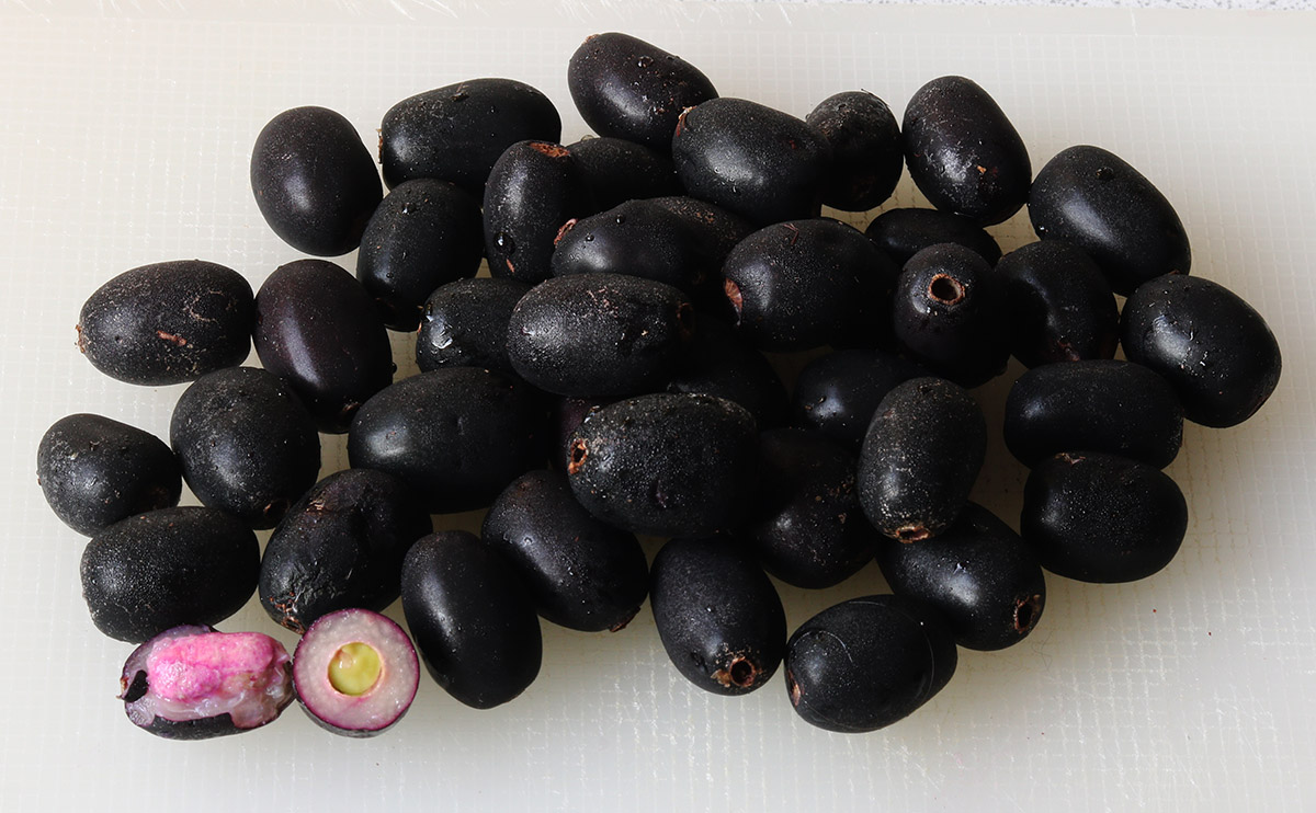 Black plum s.jpg