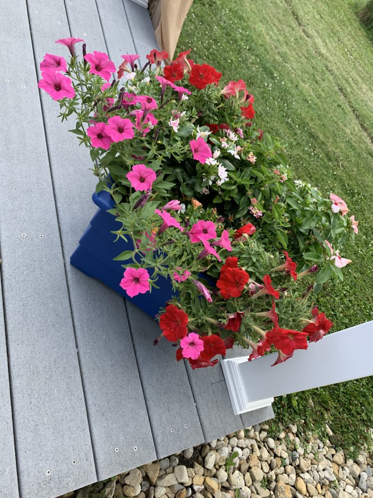 Blue Planter