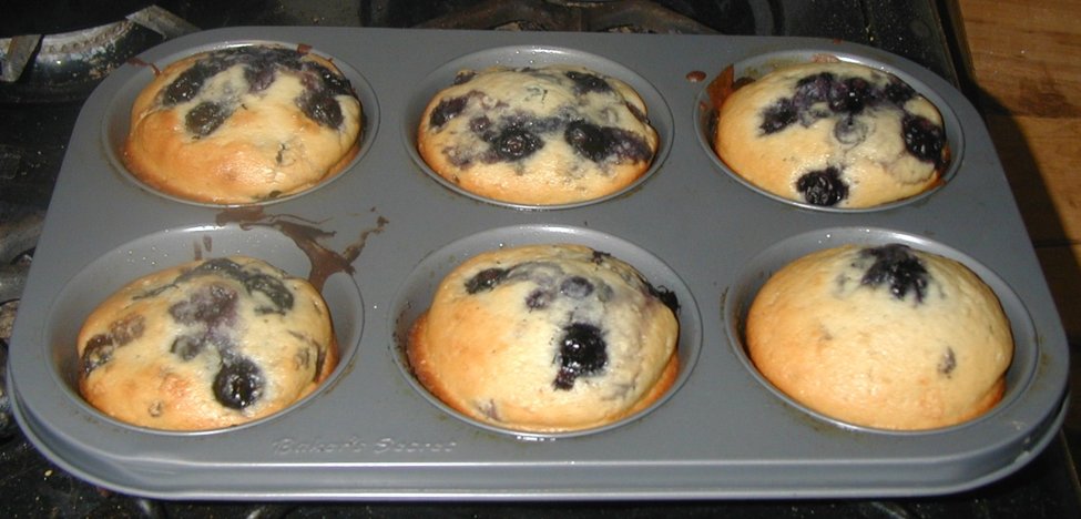 Blueberry Muffins