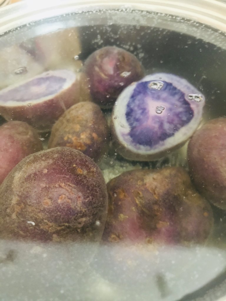 Boiling purple potatoes.jpeg