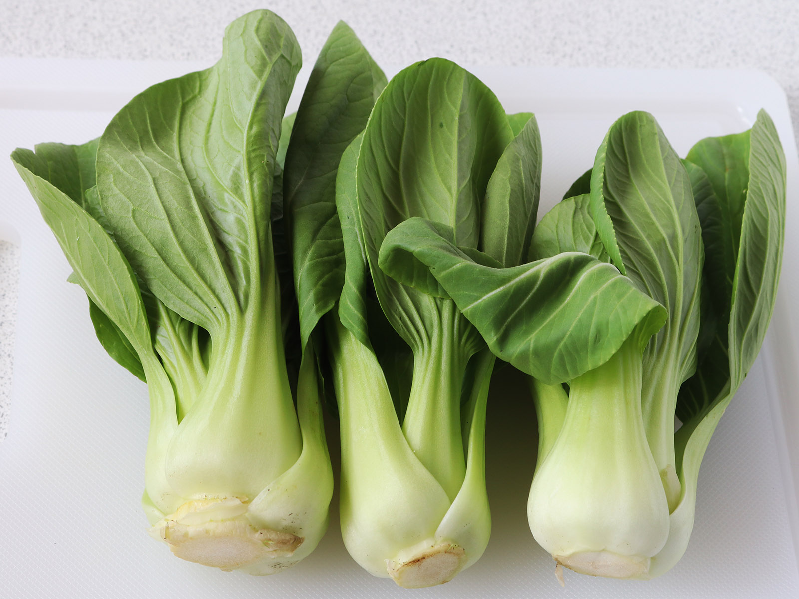 Bok choy s.jpg