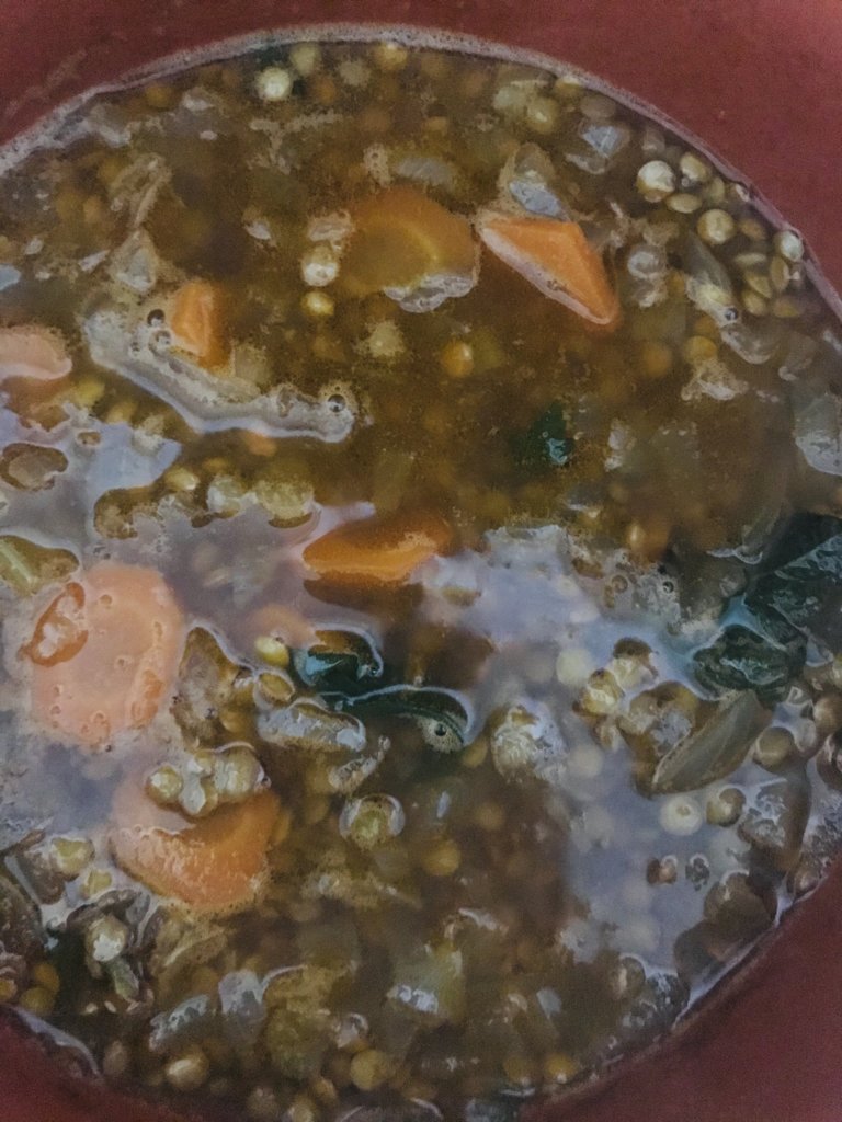 Brown lentils soup preparation.jpeg