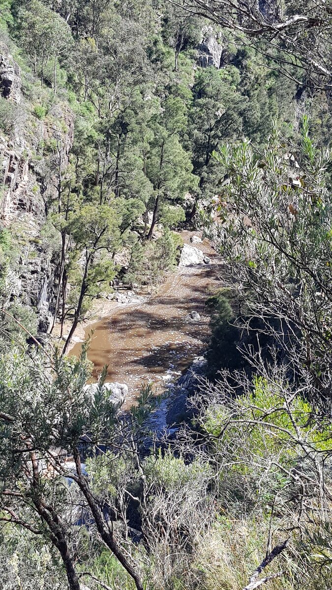 Bungonia National Park