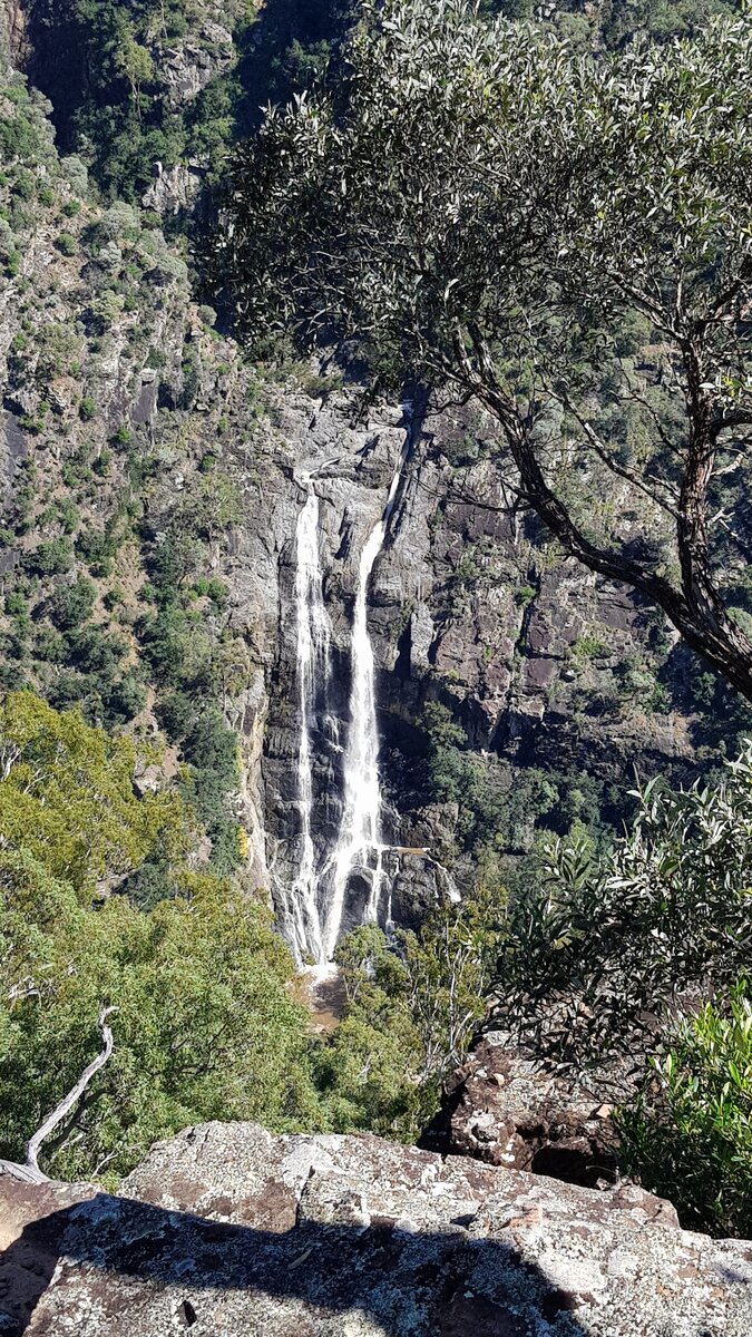 Bungonia National Park