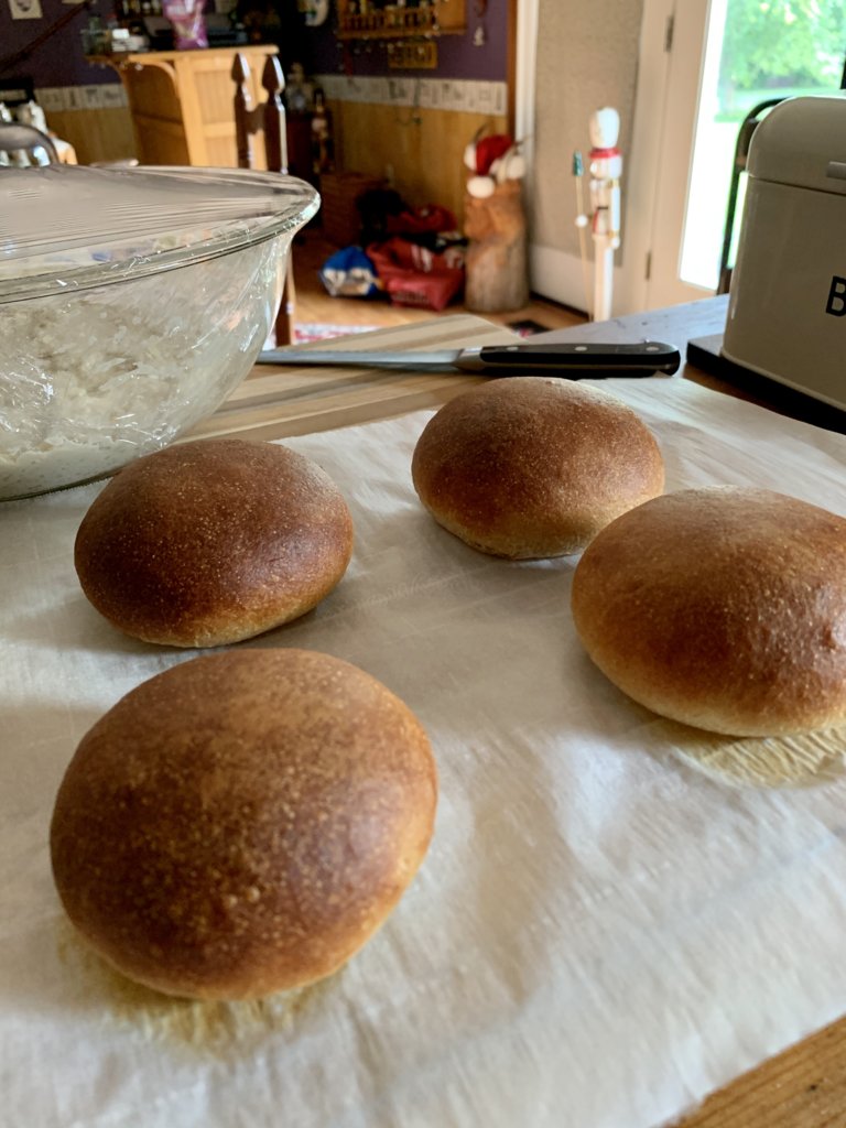 Burger Buns (And No-Knead Bread In The Background)