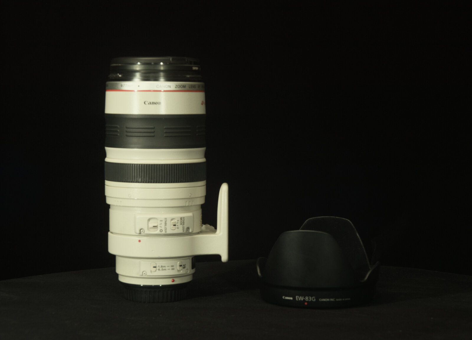 Canon EF 100-400mm F4.5-5.6L IS Telephoto Lens
