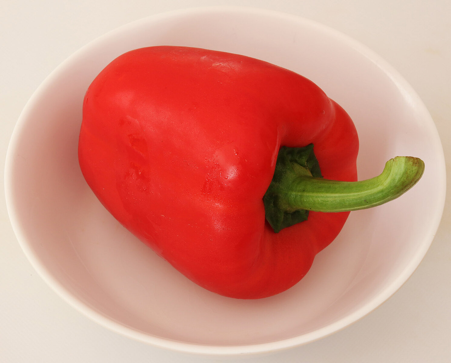 Capsicum s.jpg