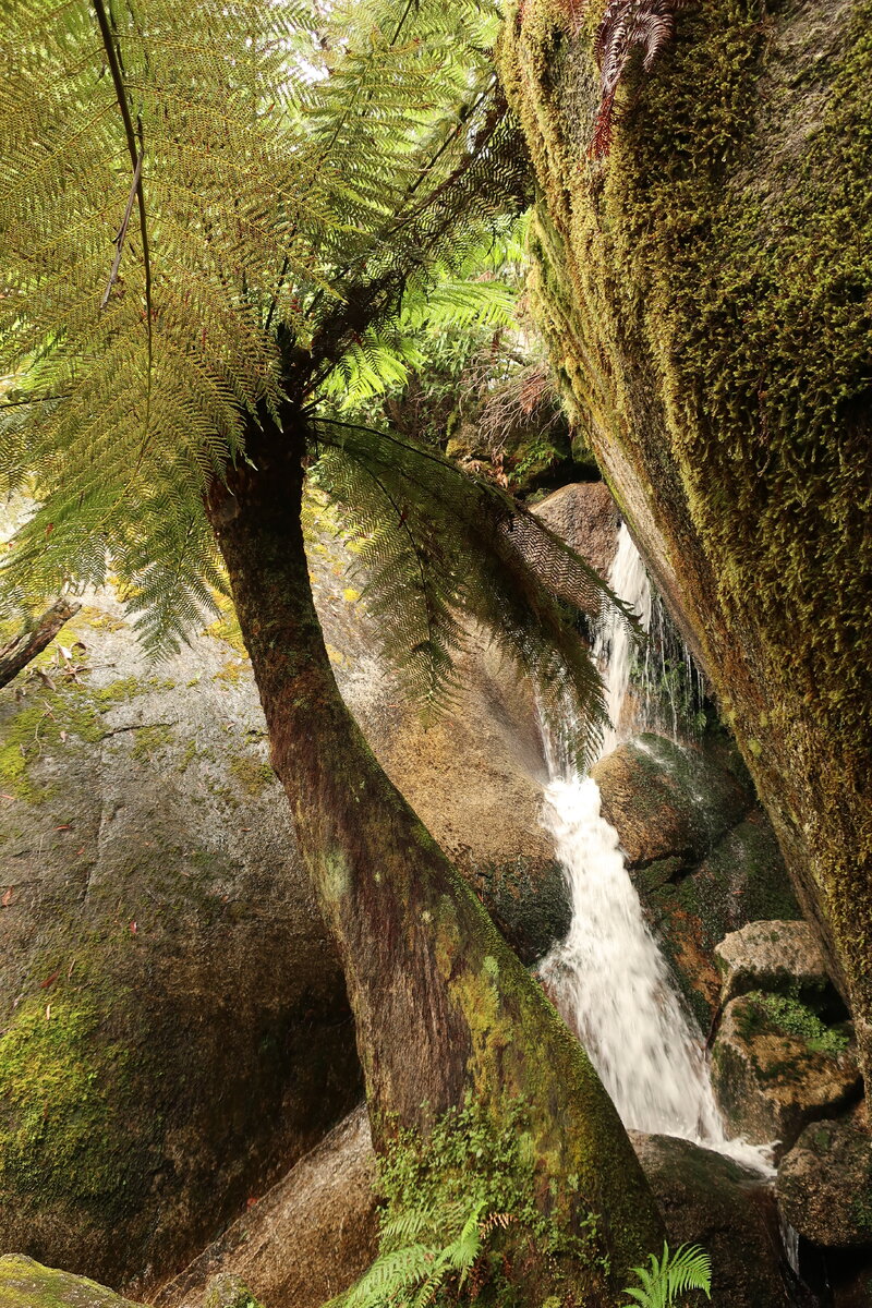 Cascade Waterfall