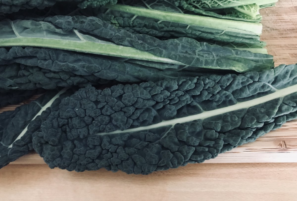 Cavolo nero.jpeg