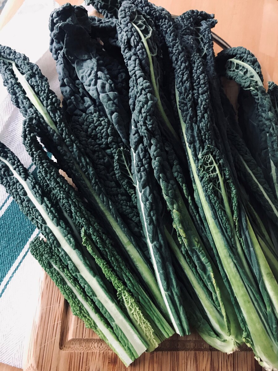 Cavolo nero.jpg