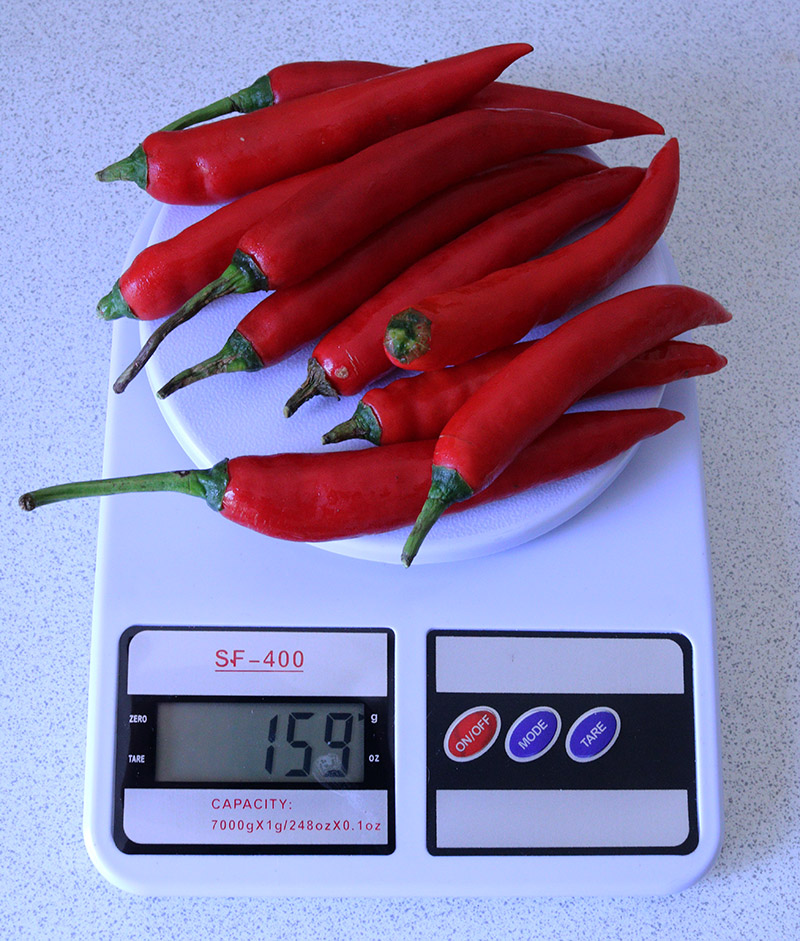 cayenne chilis s.jpg