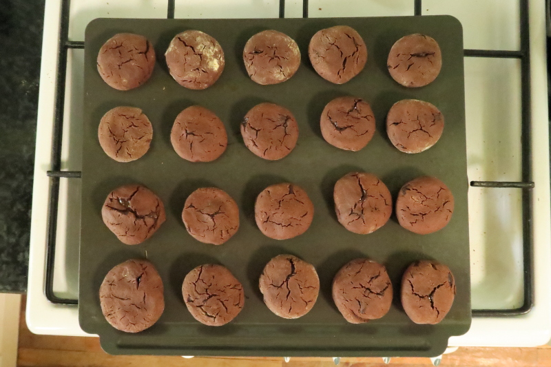 Chickpea Double Choc Chip Cookies