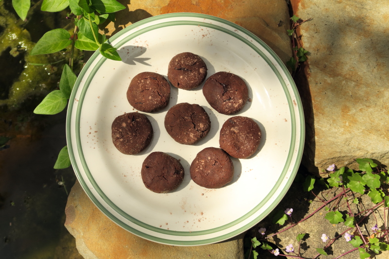 Chickpea Double Choc Chip Cookies