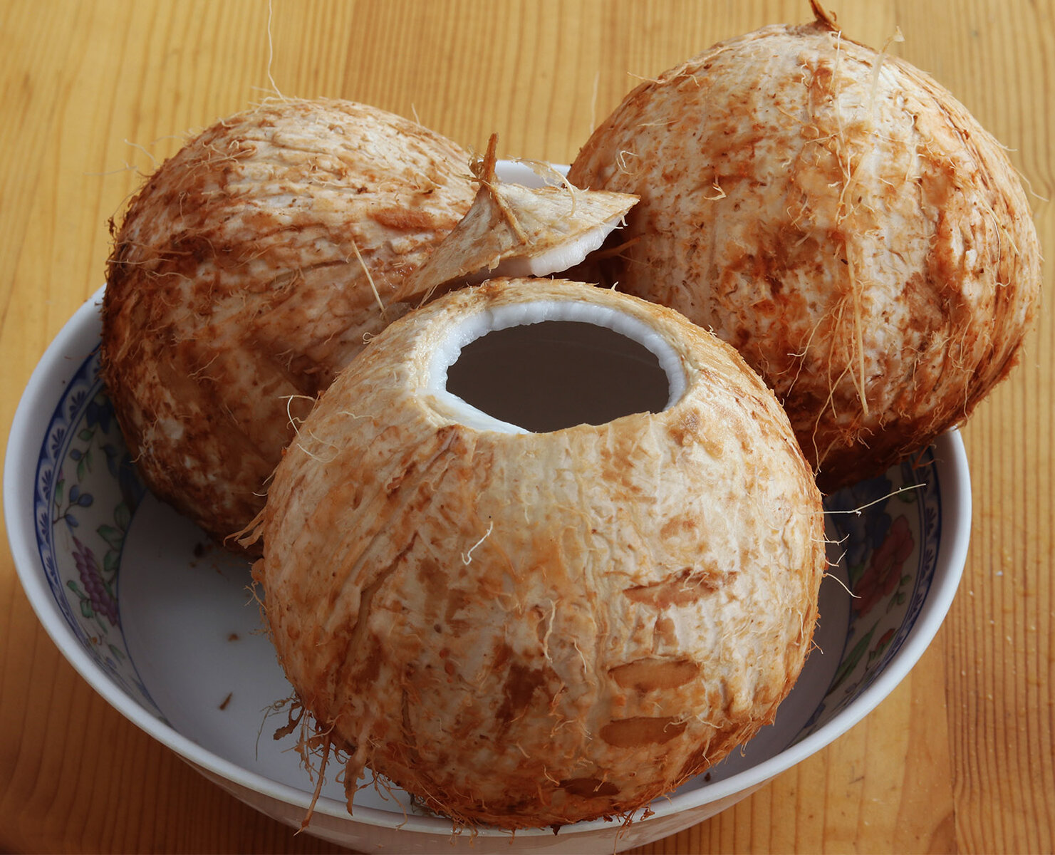 Coconuts s.jpg