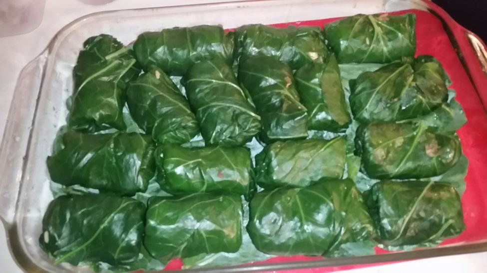 Collard rolls