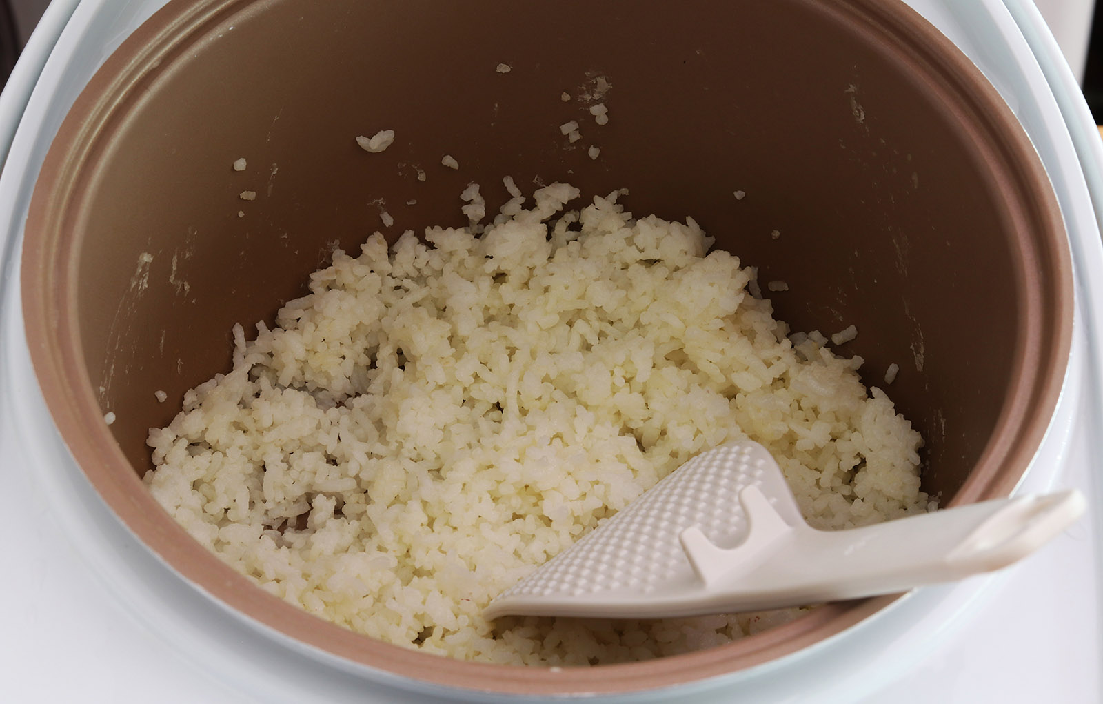cooked rice s.jpg