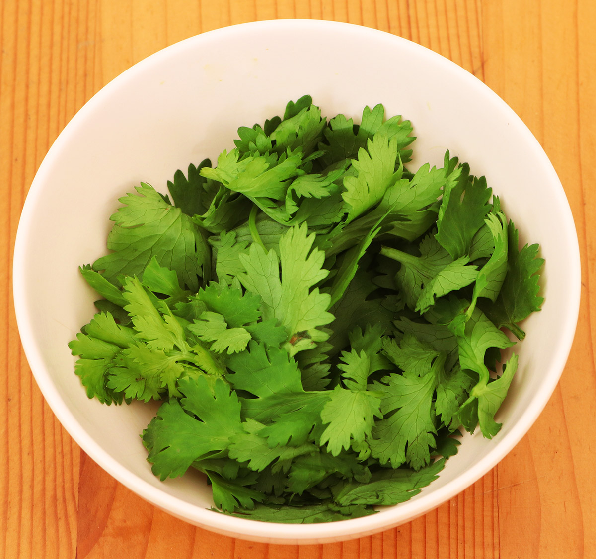 Coriander s.jpg