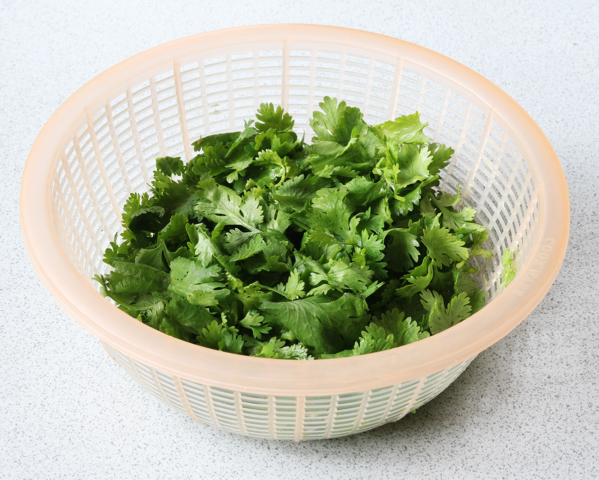 Coriander s.jpg