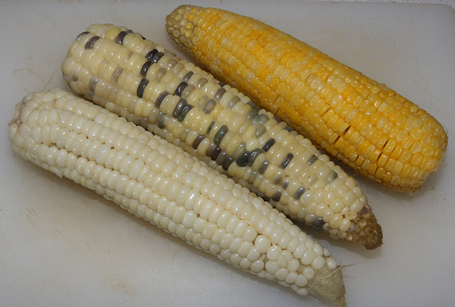 corn on the cob s.jpg