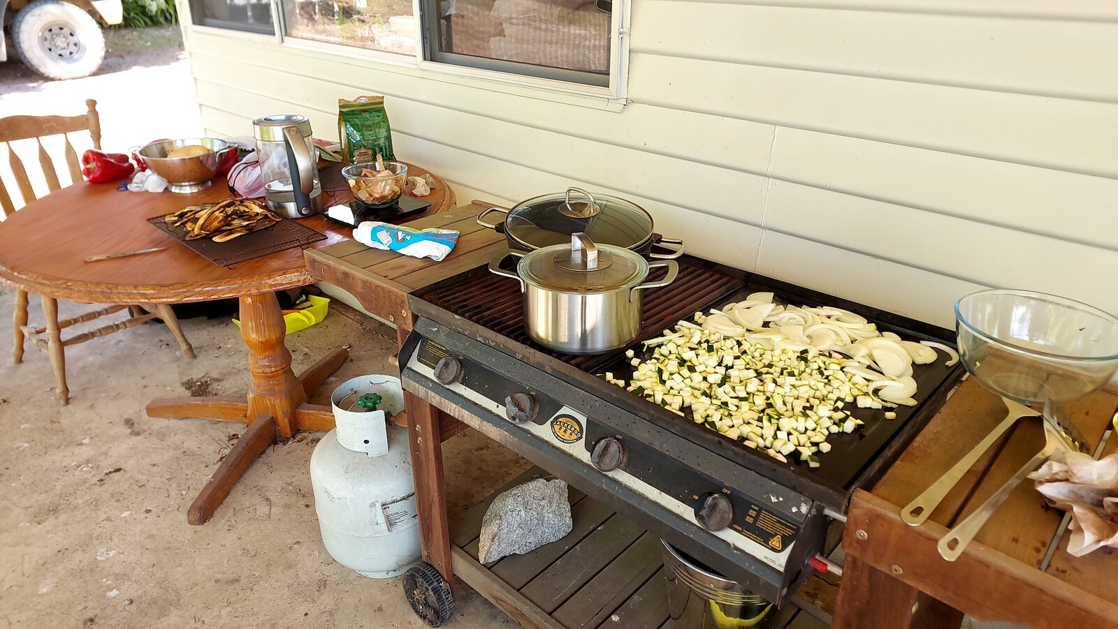 Courgette and onion on the BBQ