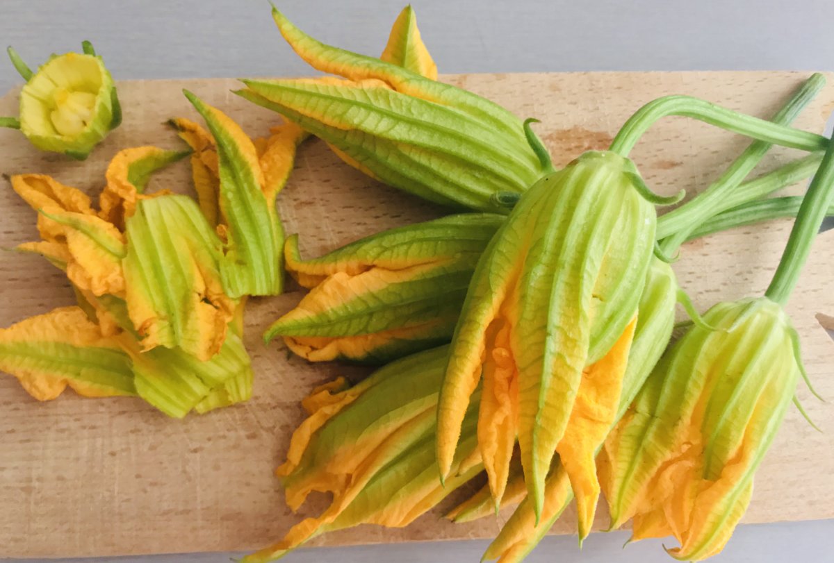 Courgette Flowers.jpeg