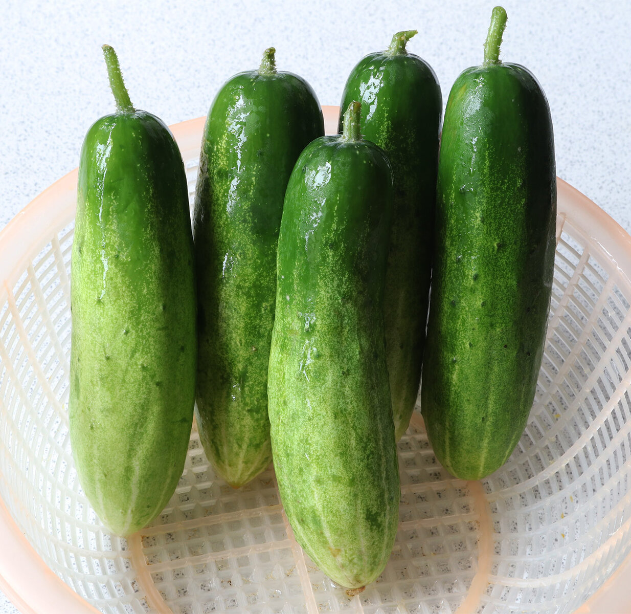 Cucumbers s.jpg