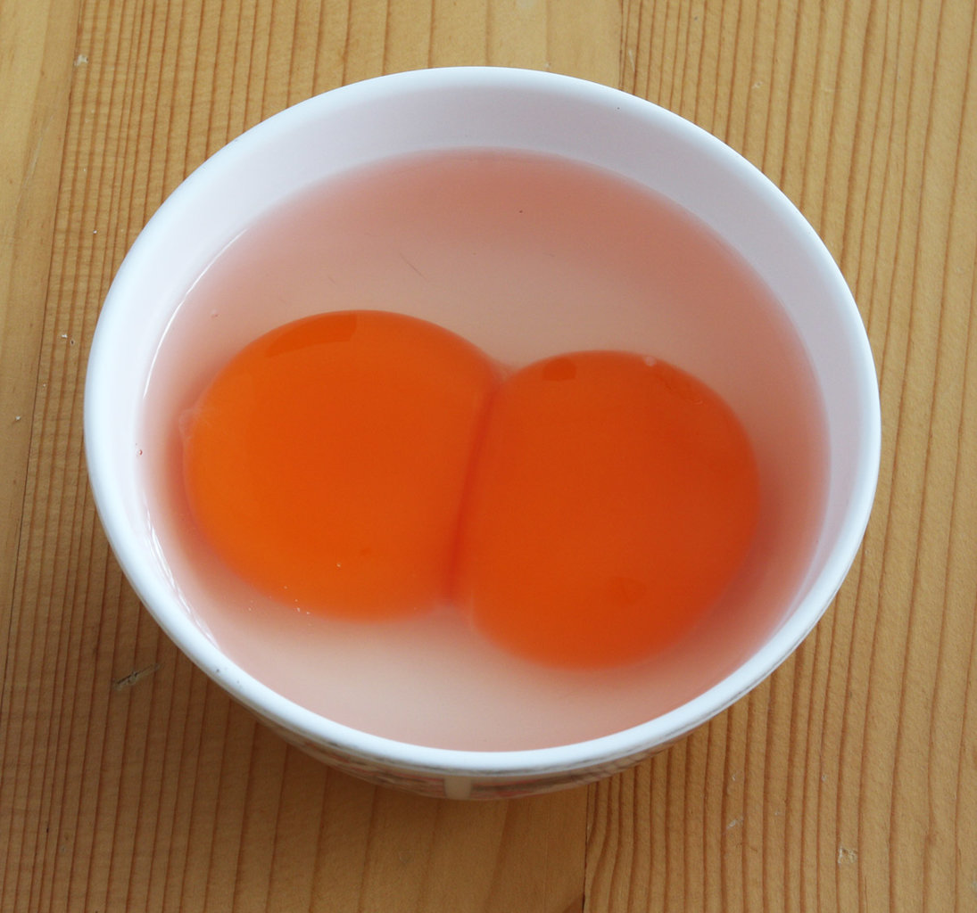 double yolk duck egg s.jpg