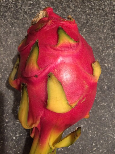 Dragon Fruit: supermodel of the jungle