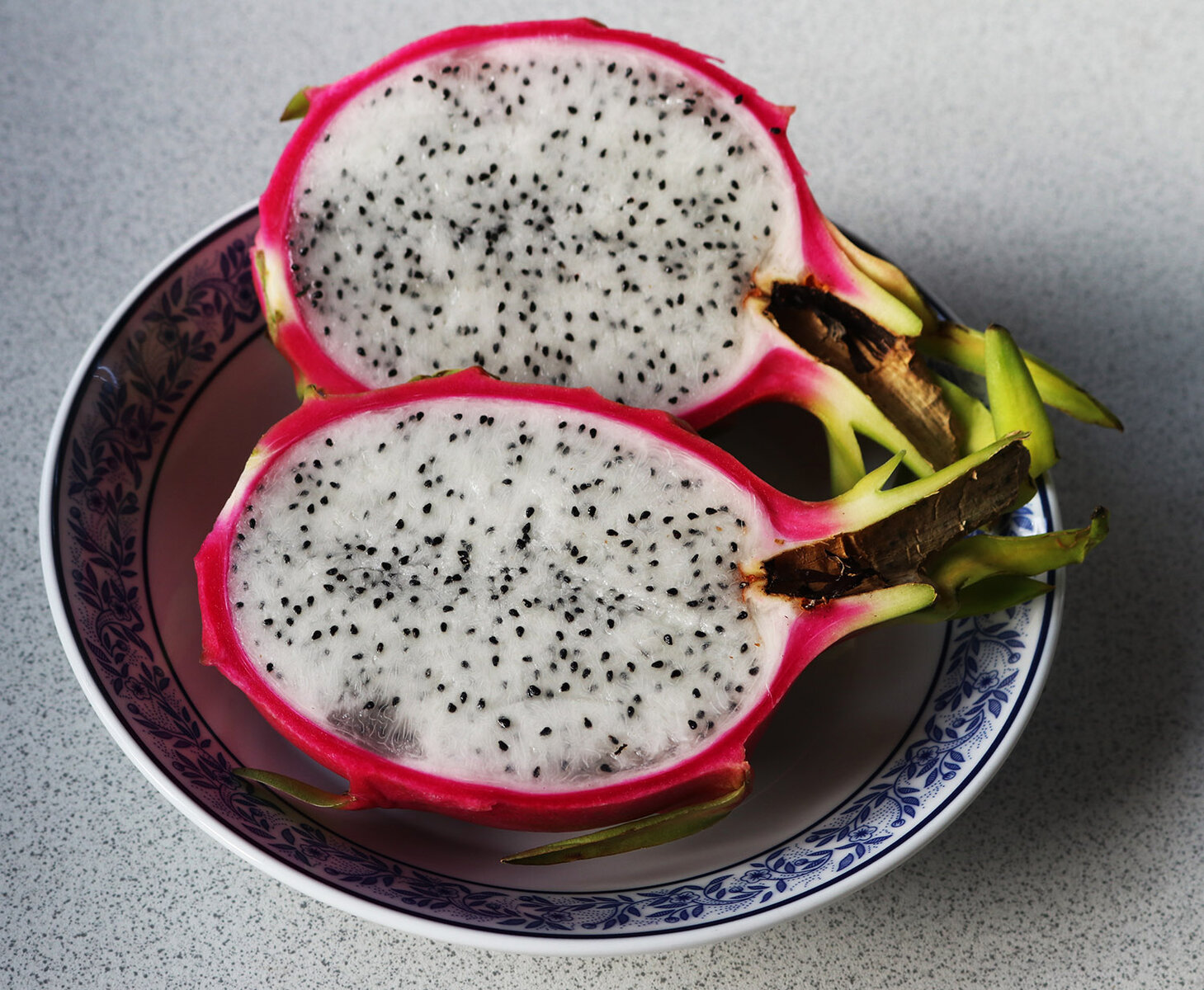 Dragonfruit-8 s.jpg