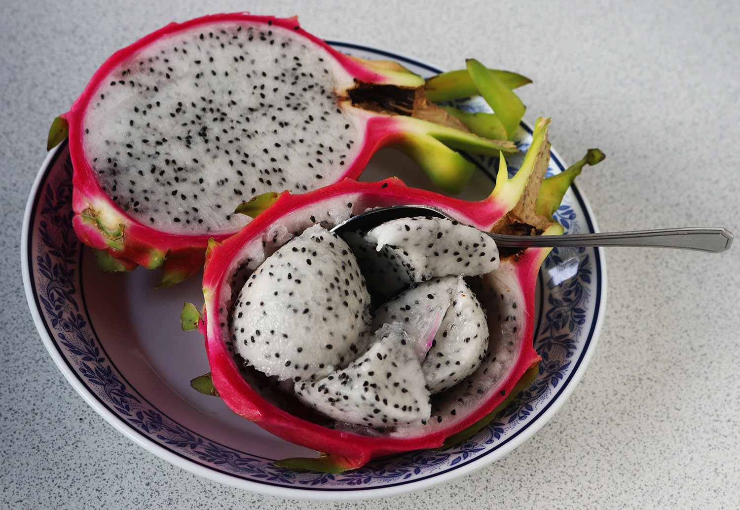 Dragonfruit-9 s.jpg