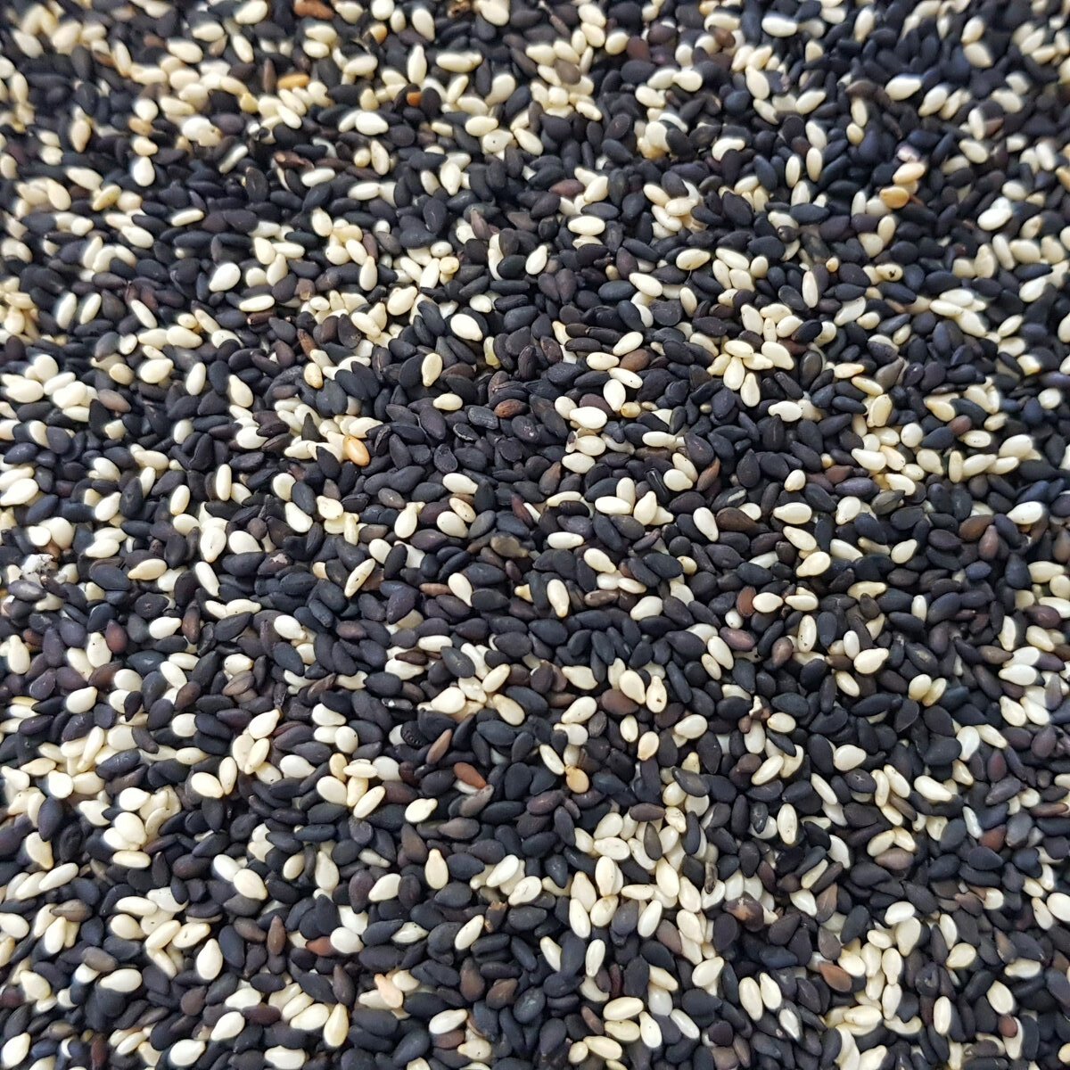 dry roasted sesame seeds