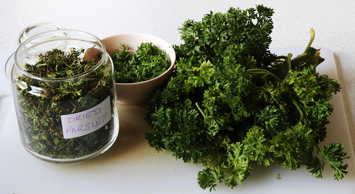 drying parsley s.jpg