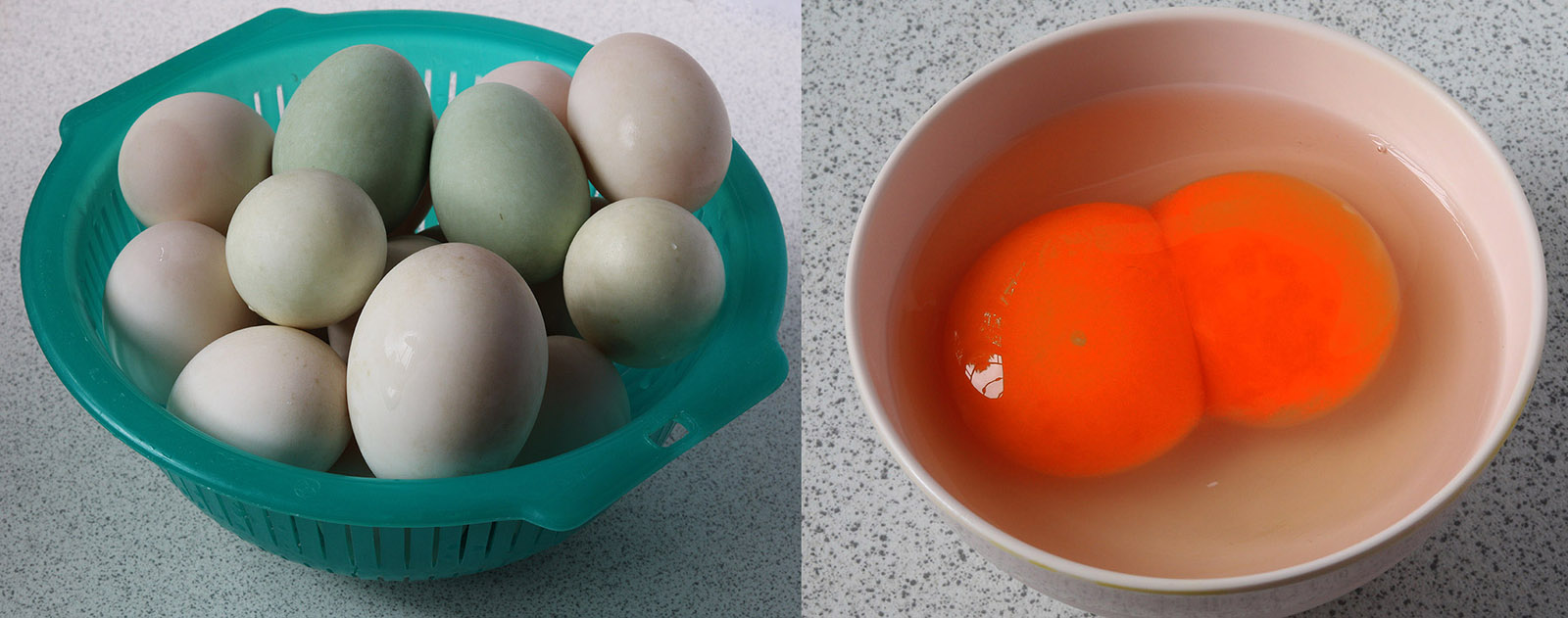 Duck eggs 4 s.jpg