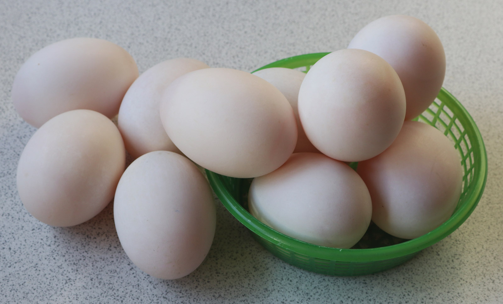 Duck eggs s.jpg