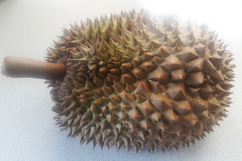 Durian