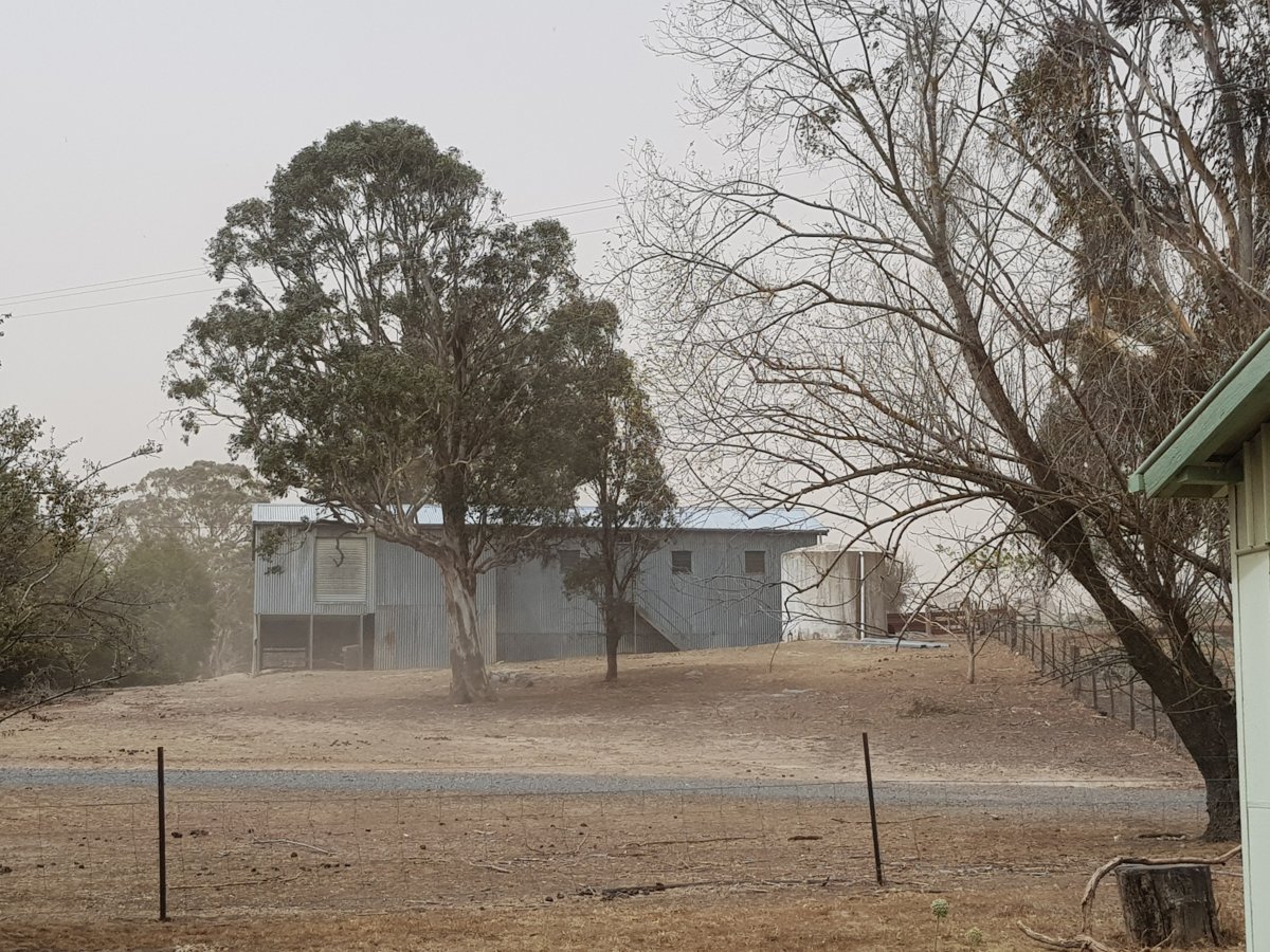 Dust Storm