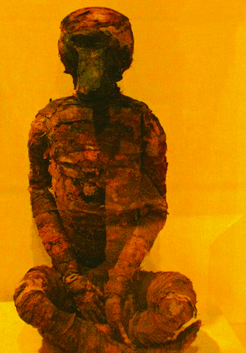Egyptian Baboon Mummy