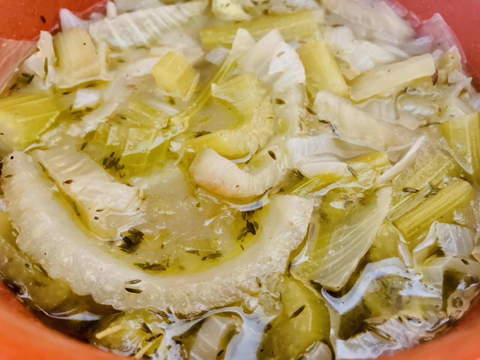 Fennel, Onion and Celery Soup.jpeg