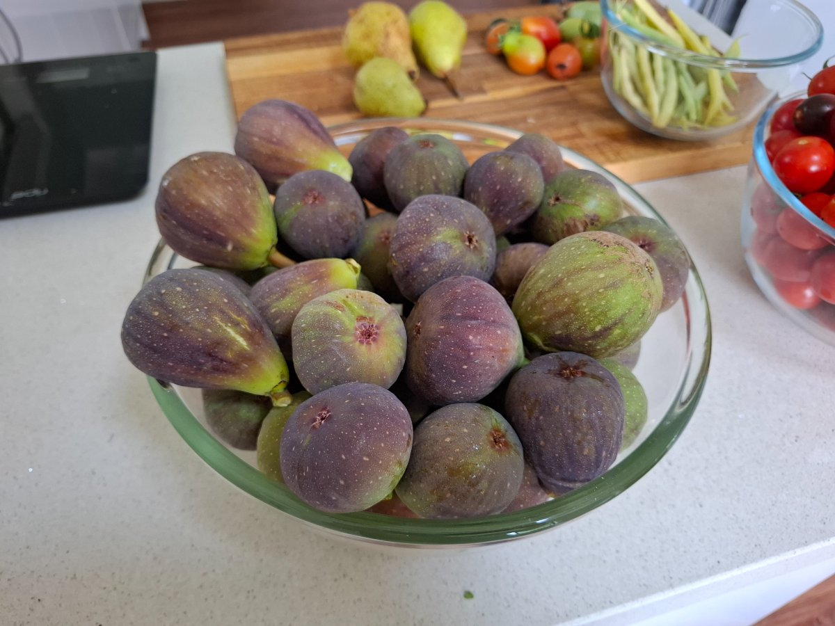 figs, tomatoes, beans, courgettes and pears