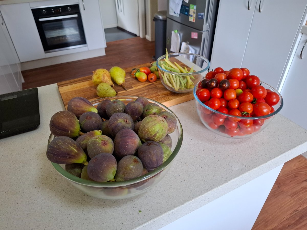 figs, tomatoes, beans, courgettes and pears