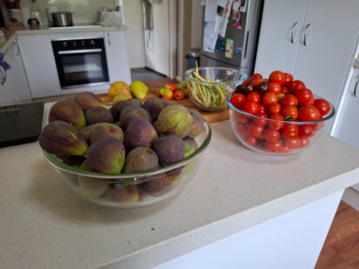 figs, tomatoes, beans, courgettes and pears
