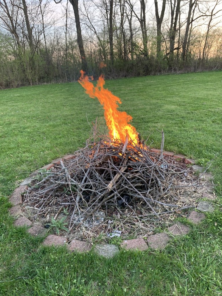 First (Small) Bonfire