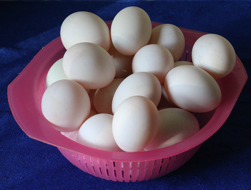 Fresh duck eggs.